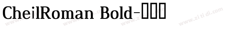 CheilRoman Bold字体转换